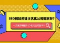 百度SEO优化与百度广告运营的深度解析与实战技巧分享探讨